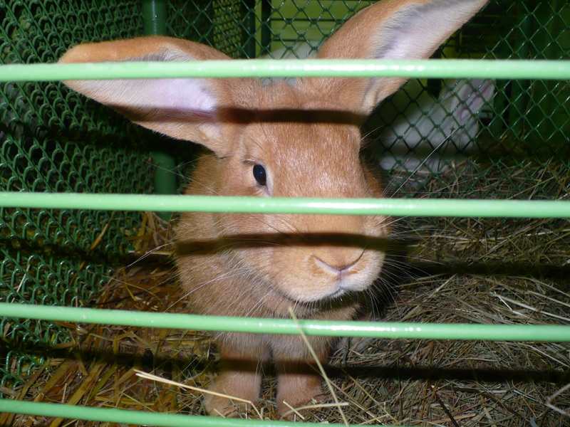 23.11.2012 (46)